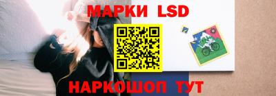 винт Донецк