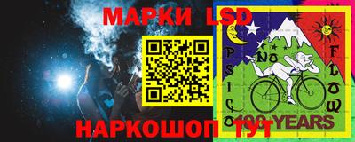 винт Донецк